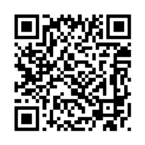 那张琴家的人会不会都是当大官的二维码生成