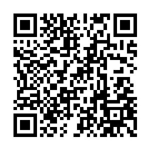 那张由赵虎体内的黑暗源力化形而成的黑色大网二维码生成