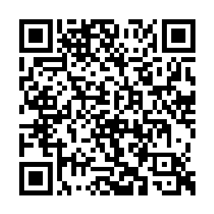 那张羊皮纸和湛蓝色的水晶竟然同时被甩了下来二维码生成