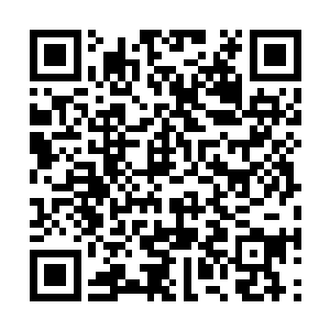 那强大的视觉冲击力猛然就占据了视线的角角落落二维码生成