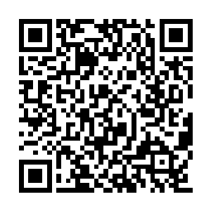 那当他看完组织在华夏境内的所有布局和计划后二维码生成