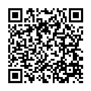 那当年对阵无爱的小子如今已成了阵道宗师级的人物二维码生成