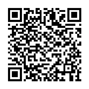 那当扈鸟……是不是在边境仙气乱流那时候的鸟二维码生成