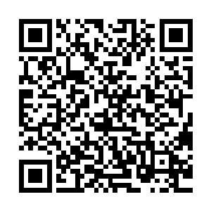 那得到了十多个斩三尸强者力量加持的提丰将会变得何等的可怕二维码生成