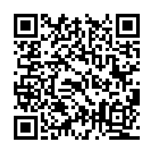 那怎么可能容忍一个这样的小子站在自己的肩膀上二维码生成