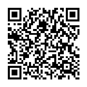 那怎么推动议会议员提出恢复君主立宪制的事情二维码生成
