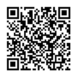 那怕是这个时候突然出现的这个盟友是在图谋算计他们什么二维码生成