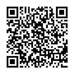 那恐怖的压力之中竟然让杨戬感受到了一股淡淡的死亡的气息二维码生成