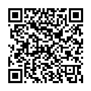那恐怖的嗜血珠在池佳一手中竟然瞬间就变成了乖宝宝二维码生成