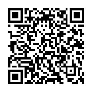 那恐怖的神魂力量居然被她在一击之中宣泄一空二维码生成