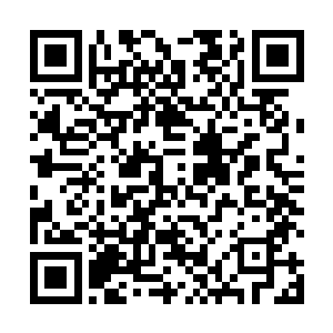 那恐怖的超负荷的负担也是不断的侵袭着龙傲天的身体二维码生成