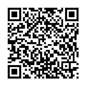 那情况就完全不一样了……那些湿婆宗的至尊境强者们二维码生成