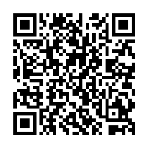 那意思分明就是要陈诚摇完以后将蛊放到这两个部位的一个上二维码生成