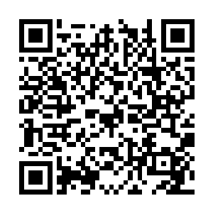 那感觉就好像是一个松软的肉丸一下子撞进怀里的二维码生成