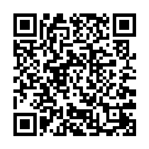 那愤怒的眼神可以看得出来它其实恨不得一口咬死他二维码生成