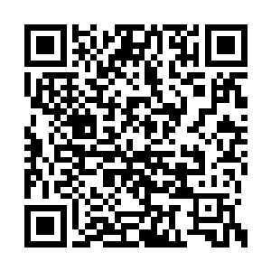 那我上辈子大概就是一个经过强化的超级特种兵二维码生成