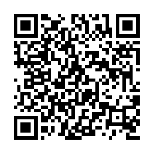 那我为什么不坐着送货的船去顺便把钱收回来呢二维码生成