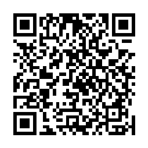 那我也不用苦熬这么多年才能一点一点吸收其中的力量了二维码生成