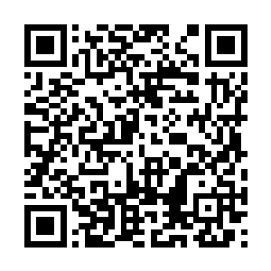 那我们不禁要问了――你们逼迫他退学的道理何在二维码生成