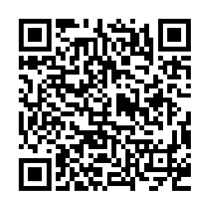 那我们以后岂不是不用怕这些势力跟那些蛮横盗匪或者外来人了二维码生成
