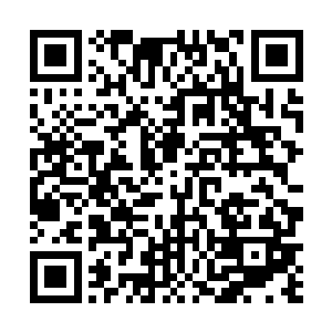 那我们何不一起动手将最后的一头凶兽皇者彻底的灭杀二维码生成