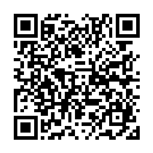 那我们天元大陆又拿什么力量去抵挡圣弃界的入侵二维码生成