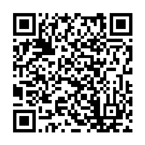 那我们就一起去寻找陆地王者皮上面刻画的宝藏吧二维码生成