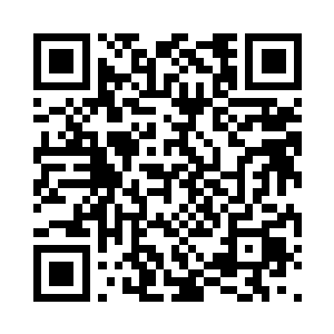 那我们就强行把箱子打开查看吧……放心二维码生成