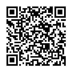那我们绿草门和阵地门肯定可以在最短的时间内成长起来二维码生成