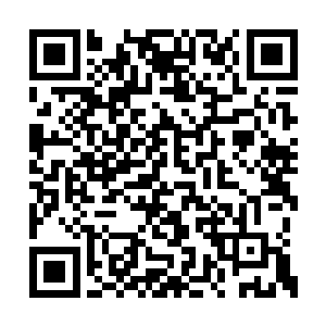 那我们说不定就可以知道天霜殿主想要干什么了二维码生成