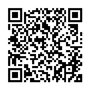 那我倒是要看看你这诸天百界太上境第一人的称呼是否名符其实二维码生成