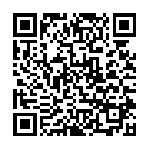 那我天幕家族绝对不会再对钨合金矿脉生出半点想法二维码生成