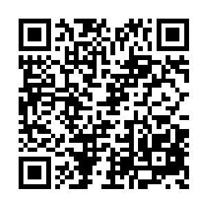 那我妹妹去哪里了……大半夜的她会去哪里……二维码生成