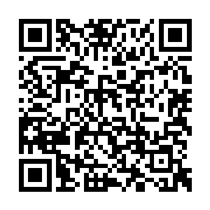 那我就会不留余力的想办法将他也收入这个世界二维码生成