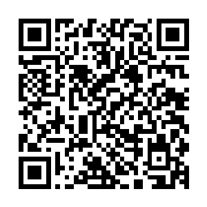 那我就偏偏要当着你们的面将那个家伙的肉一块一块的撕下来二维码生成