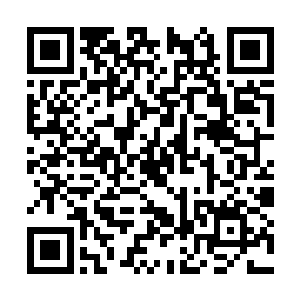 那我就先看看你要怎么从那五个人的攻击力活下来二维码生成