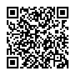 那我就公开一个秘密――她最大的谎言就是她其实并不是人类二维码生成