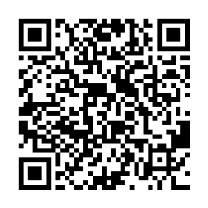 那我就将我的刀法提炼成一套最简单实用的刺杀功夫二维码生成