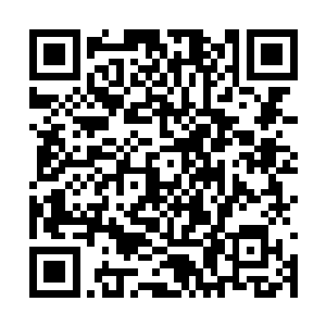 那我怎么知道你现在是不是真的认我为唯一的主人二维码生成