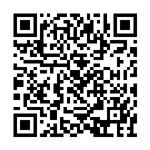 那我混进城来的原因也只能是……我长得比你帅二维码生成