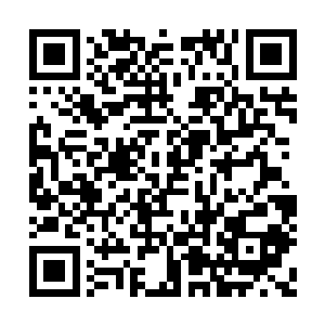 那我现在就去操场上等……你让战斗机快一点来二维码生成