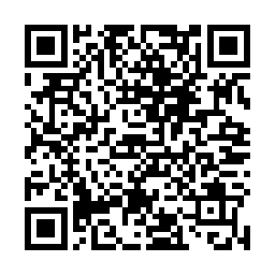 那所产生的风压便压的剑尘背上的衣服紧紧的贴在背部二维码生成