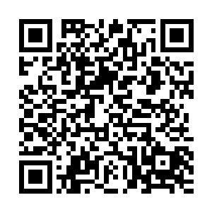 那所有的货运飞艇岂不是都成了那些会飞的高阶变异生物的靶子二维码生成