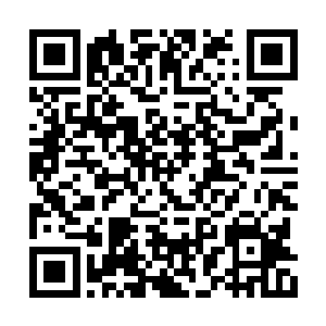 那把几乎已经要砍到薛慕华颈项的长刀应声而断二维码生成