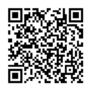 那把宝剑就是以凶兽奇穷的背椎九骨炼制成九骨剑二维码生成