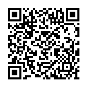 那把放在旁边一直都没有用上的手术刀拿了起来二维码生成