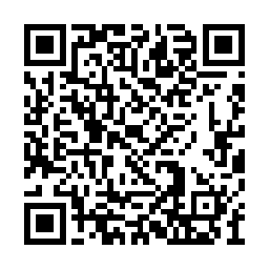 那把长剑狠狠的不带一丝停滞的戳进了她的肩膀二维码生成