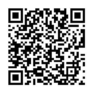 那把黑色的造型奇异的匕首在她如莲的素手之间辗转翻腾二维码生成