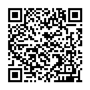 那抓着杨奇夫的人对着他的后背就狠狠踹了几脚二维码生成