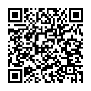 那披头散发的青年却是犹如鬼魅一般快速冲了上来二维码生成